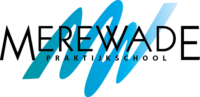 Merewade PrO Logo Png