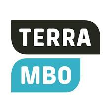 Terra Mbo
