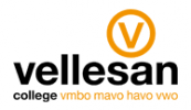 Vellesan 173 100
