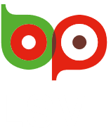 Lsv Logo