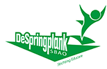 Sprinplank 100px