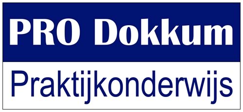 ProDokkum Logo